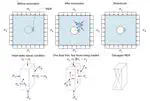 AI-Enhanced Granular Modeling of Rockburst Failures with Anisotropic Joints